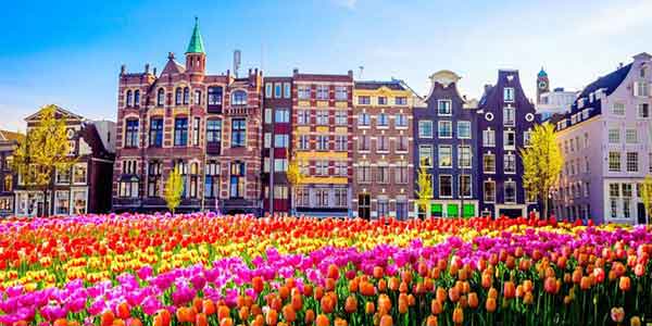 خرید آنلاین بیمه مسافرتی برای هلند